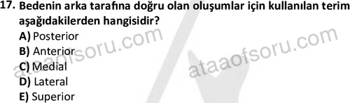 ata egzersizvespor 1545 17