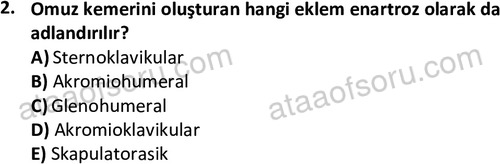 ata egzersizvespor 1545 2