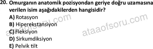 ata egzersizvespor 1545 20