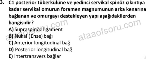 ata egzersizvespor 1545 3
