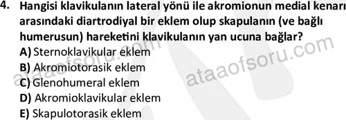 ata egzersizvespor 1545 4