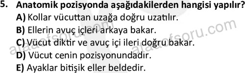 ata egzersizvespor 1545 5