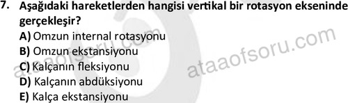 ata egzersizvespor 1545 7