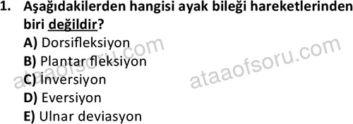 ata egzersizvespor 1545 1