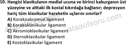 ata egzersizvespor 1545 10