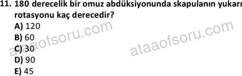 ata egzersizvespor 1545 11