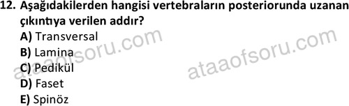 ata egzersizvespor 1545 12
