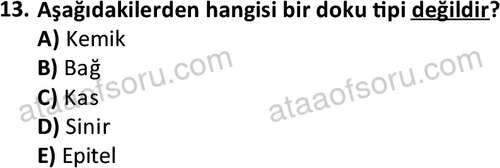 ata egzersizvespor 1545 13