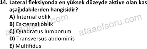 ata egzersizvespor 1545 14