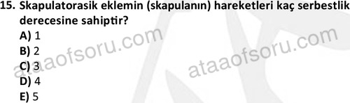 ata egzersizvespor 1545 15