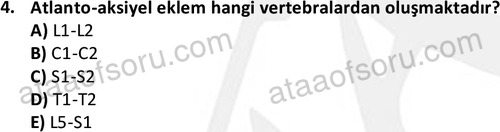 ata egzersizvespor 1545 4