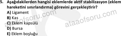 ata egzersizvespor 1545 5