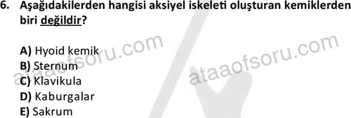 ata egzersizvespor 1545 6