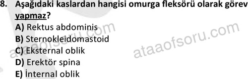 ata egzersizvespor 1545 8