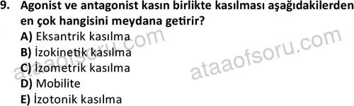 ata egzersizvespor 1545 9