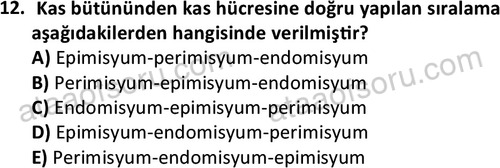 ata egzersizvespor 1545 12