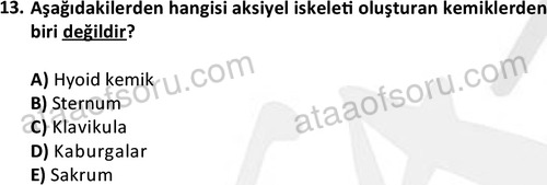 ata egzersizvespor 1545 13