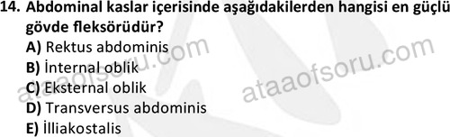 ata egzersizvespor 1545 14
