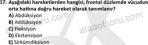 ata egzersizvespor 1545 17