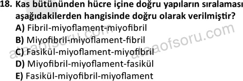 ata egzersizvespor 1545 18