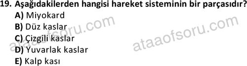 ata egzersizvespor 1545 19