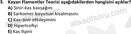 ata egzersizvespor 1545 3