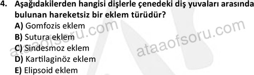 ata egzersizvespor 1545 4