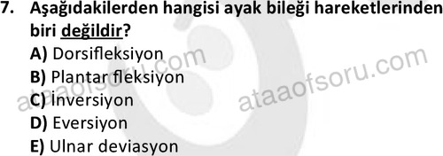 ata egzersizvespor 1545 7
