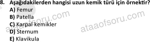ata egzersizvespor 1545 8