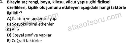 ata egzersizvespor 1543 1