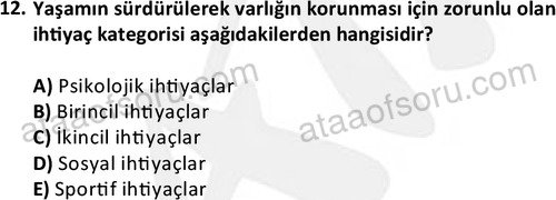 ata egzersizvespor 1543 12