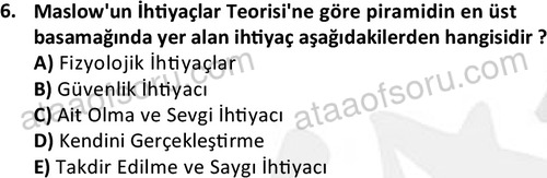 ata egzersizvespor 1543 6