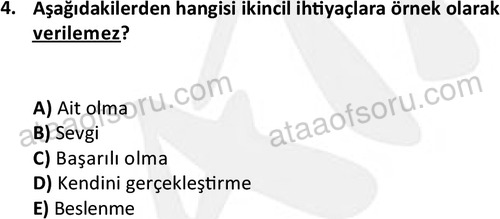 ata egzersizvespor 1543 4