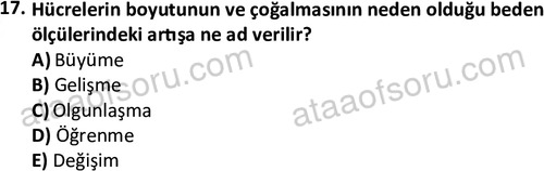 ata egzersizvespor 1544 17