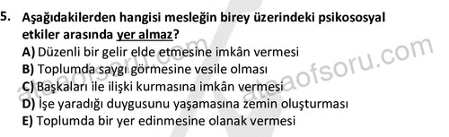 ata egzersizvespor 1544 5
