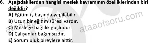 ata egzersizvespor 1544 6