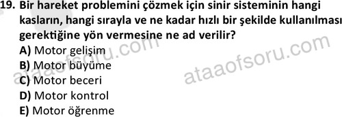 ata egzersizvespor 1544 19