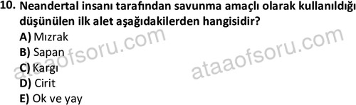 ata egzersizvespor 1546 10