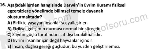 ata egzersizvespor 1546 16