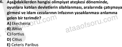 ata egzersizvespor 1546 6