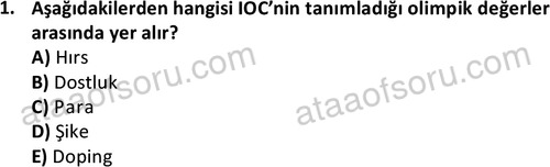 ata egzersizvespor 1546 1