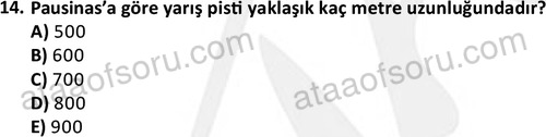 ata egzersizvespor 1546 14