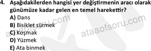 ata egzersizvespor 1546 4