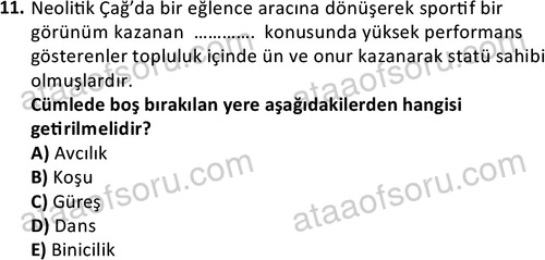 ata egzersizvespor 1546 11