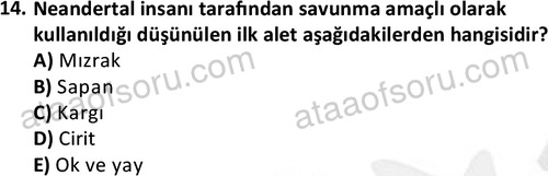 ata egzersizvespor 1546 14