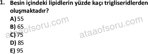 ata egzersizvespor 1555 1