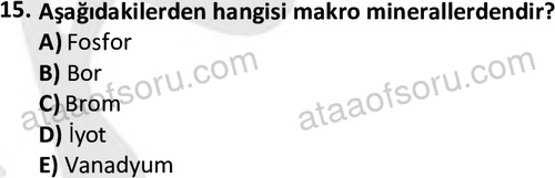 ata egzersizvespor 1555 15