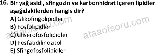 ata egzersizvespor 1555 16