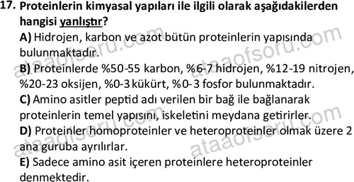 ata egzersizvespor 1555 17
