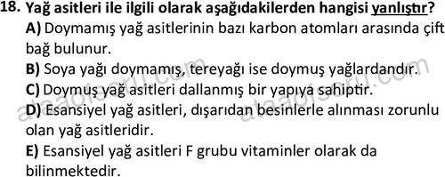 ata egzersizvespor 1555 18
